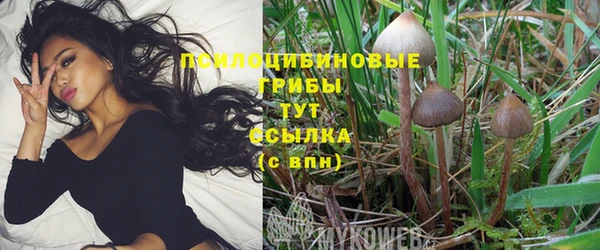 каннабис Алзамай