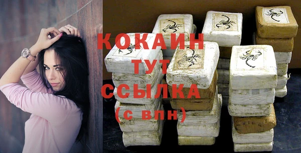 твердый Алексин