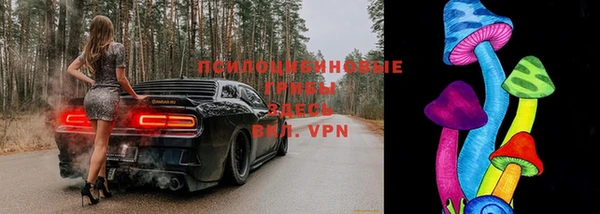 твердый Алексин