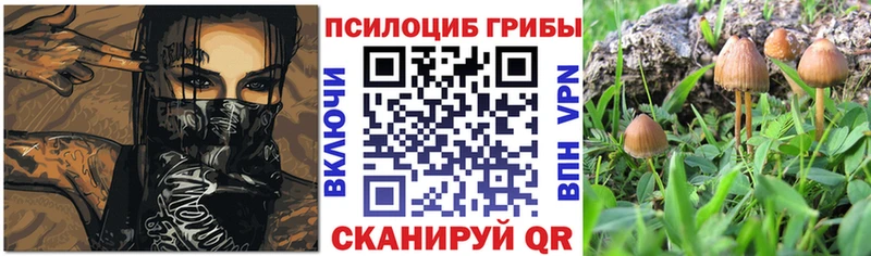 Галлюциногенные грибы мухоморы  Туймазы 