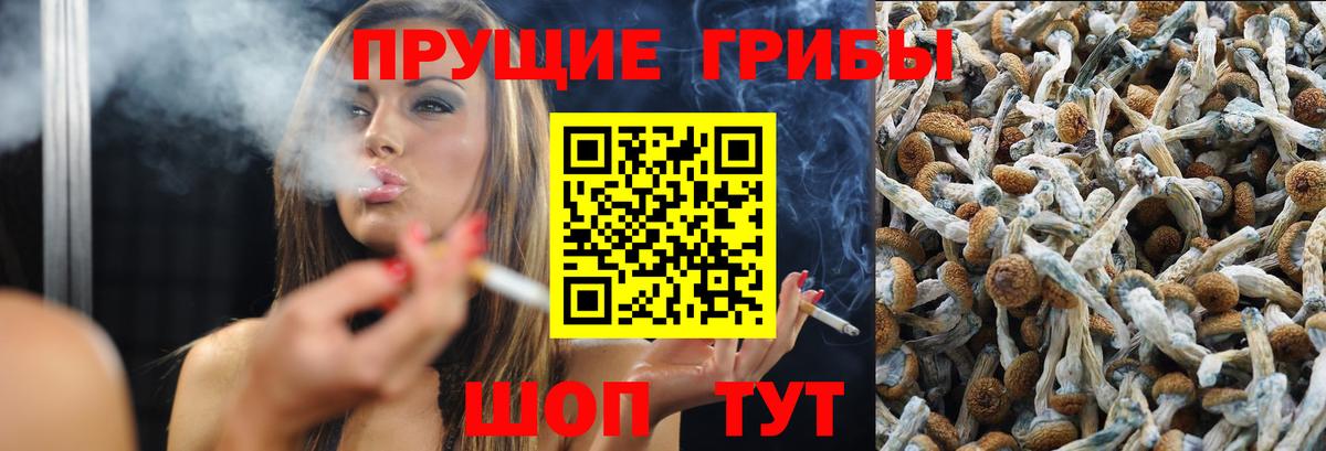 Галлюциногенные грибы мицелий Туймазы