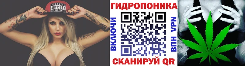 как найти наркотики  Туймазы  Бошки Шишки сатива 